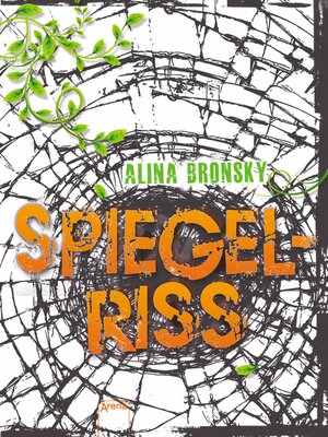 cover image of Spiegelriss
